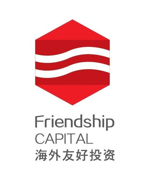 廣東海外友好投資管理 專業(yè)服務與未來展望